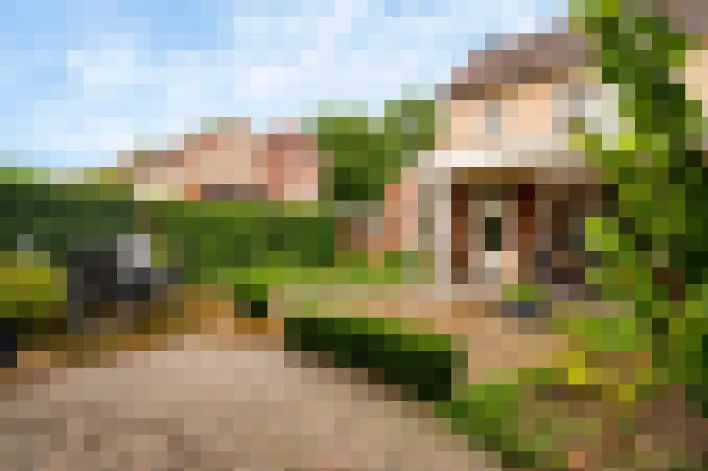 Van Bronckhorststraat 1 Horst thumbnail 35