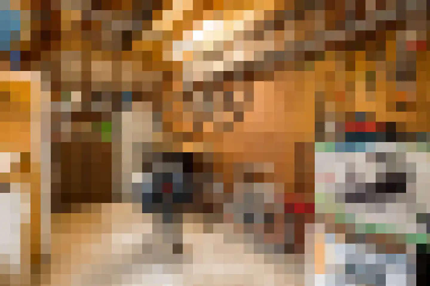 Van Bronckhorststraat 1 Horst thumbnail 36