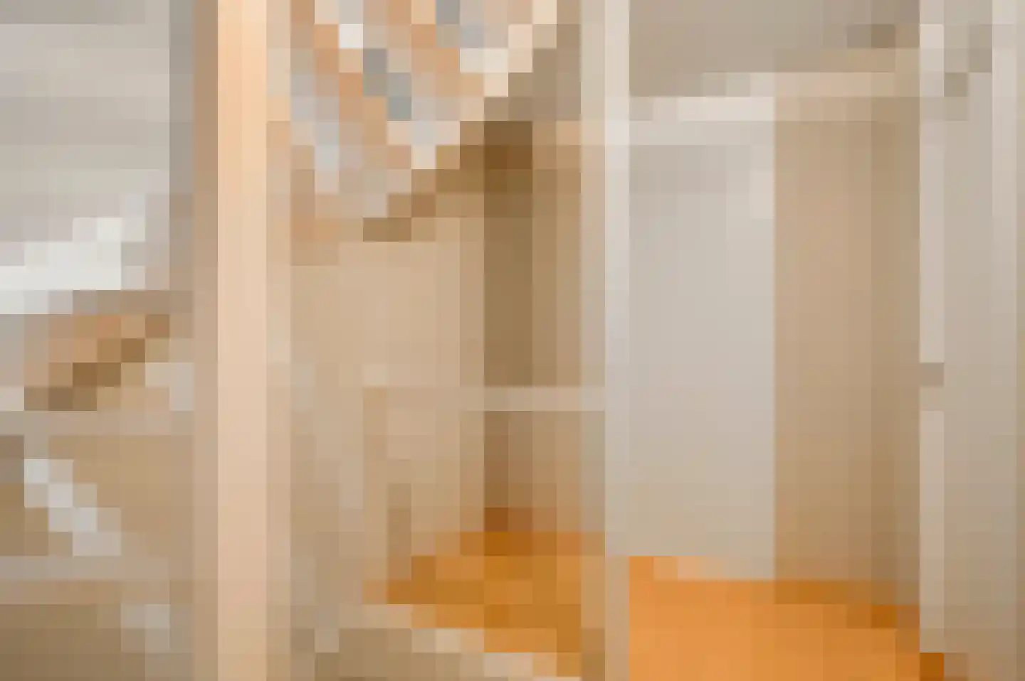 Van Bronckhorststraat 1 Horst thumbnail 38