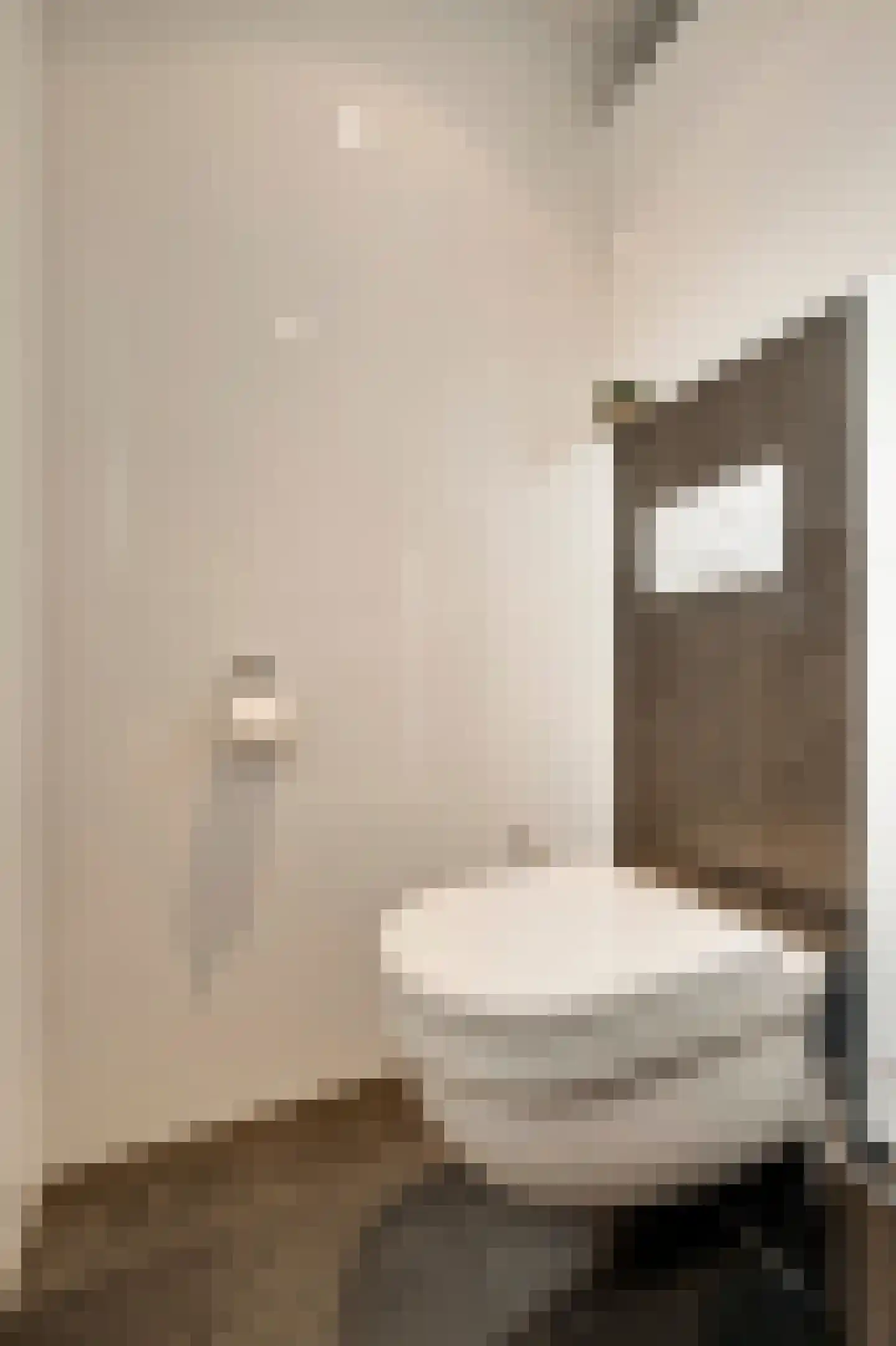 Van Bronckhorststraat 1 Horst thumbnail 46