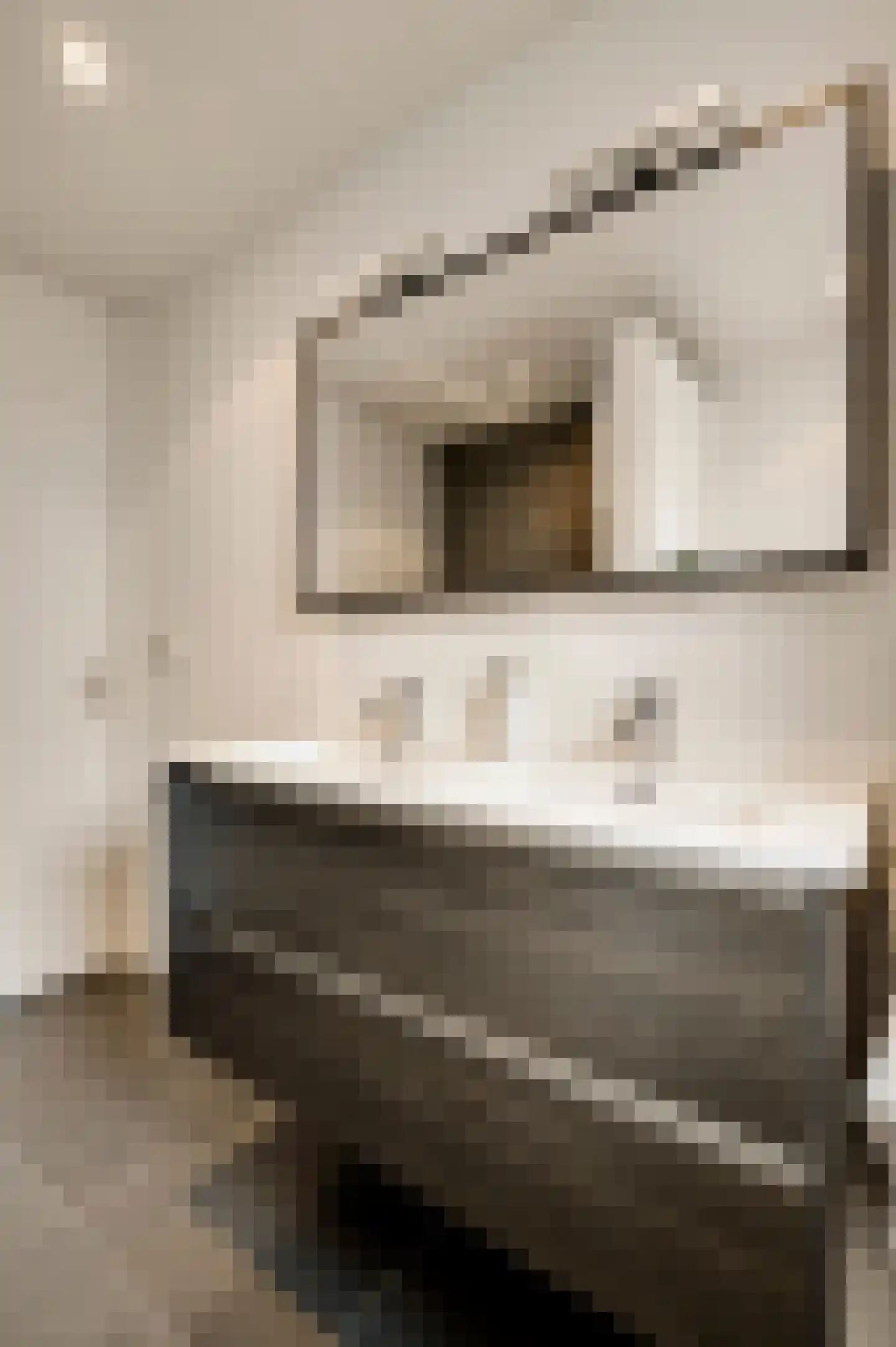 Van Bronckhorststraat 1 Horst thumbnail 48