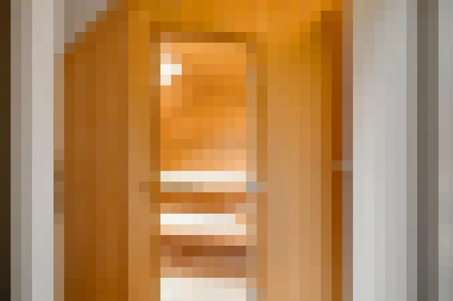 Van Bronckhorststraat 1 Horst thumbnail 53