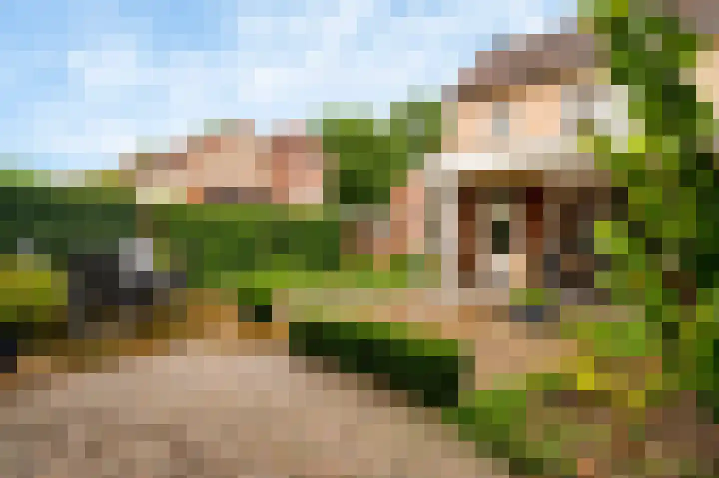 Van Bronckhorststraat 1 Horst thumbnail 6