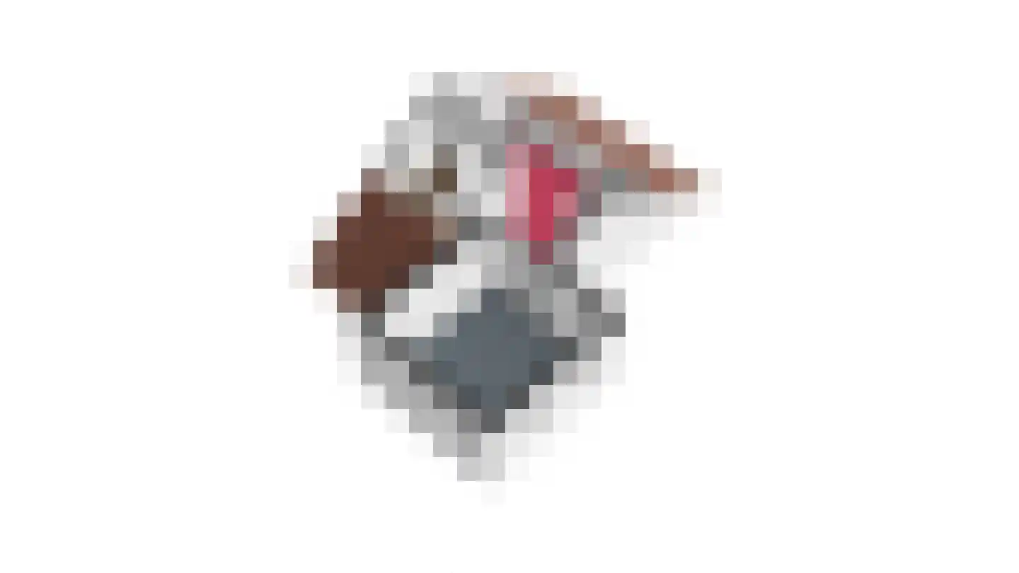 Van Bronckhorststraat 1 Horst thumbnail 62