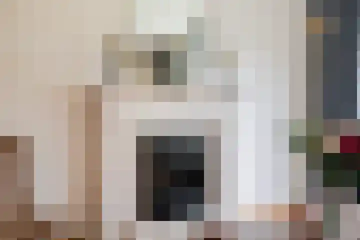 Van Bronckhorststraat 30 Horst thumbnail 12
