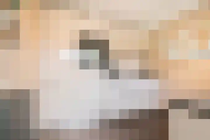Van Bronckhorststraat 30 Horst thumbnail 19