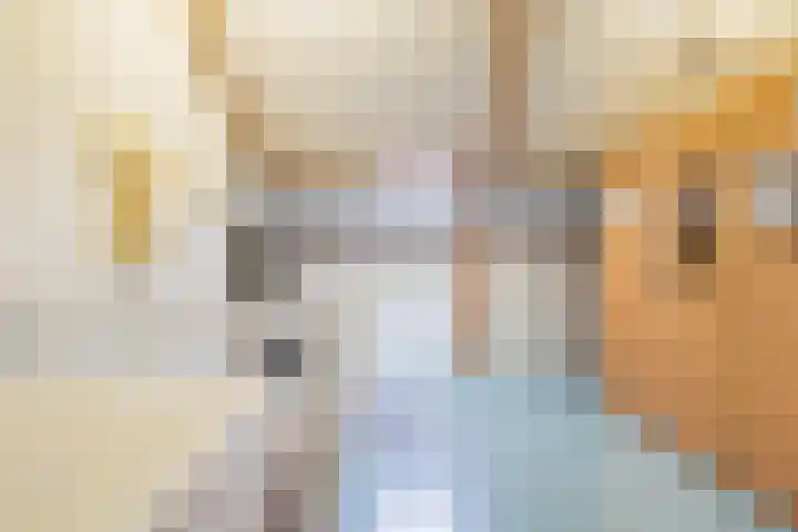 Van Bronckhorststraat 30 Horst thumbnail 28