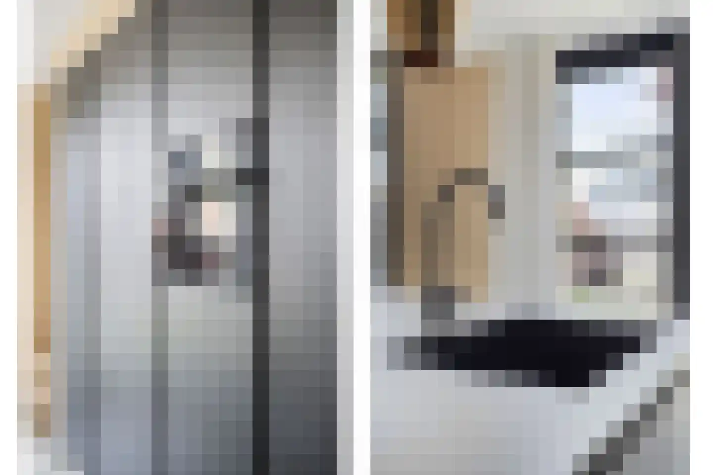 Van Bronckhorststraat 9 Horst thumbnail 16