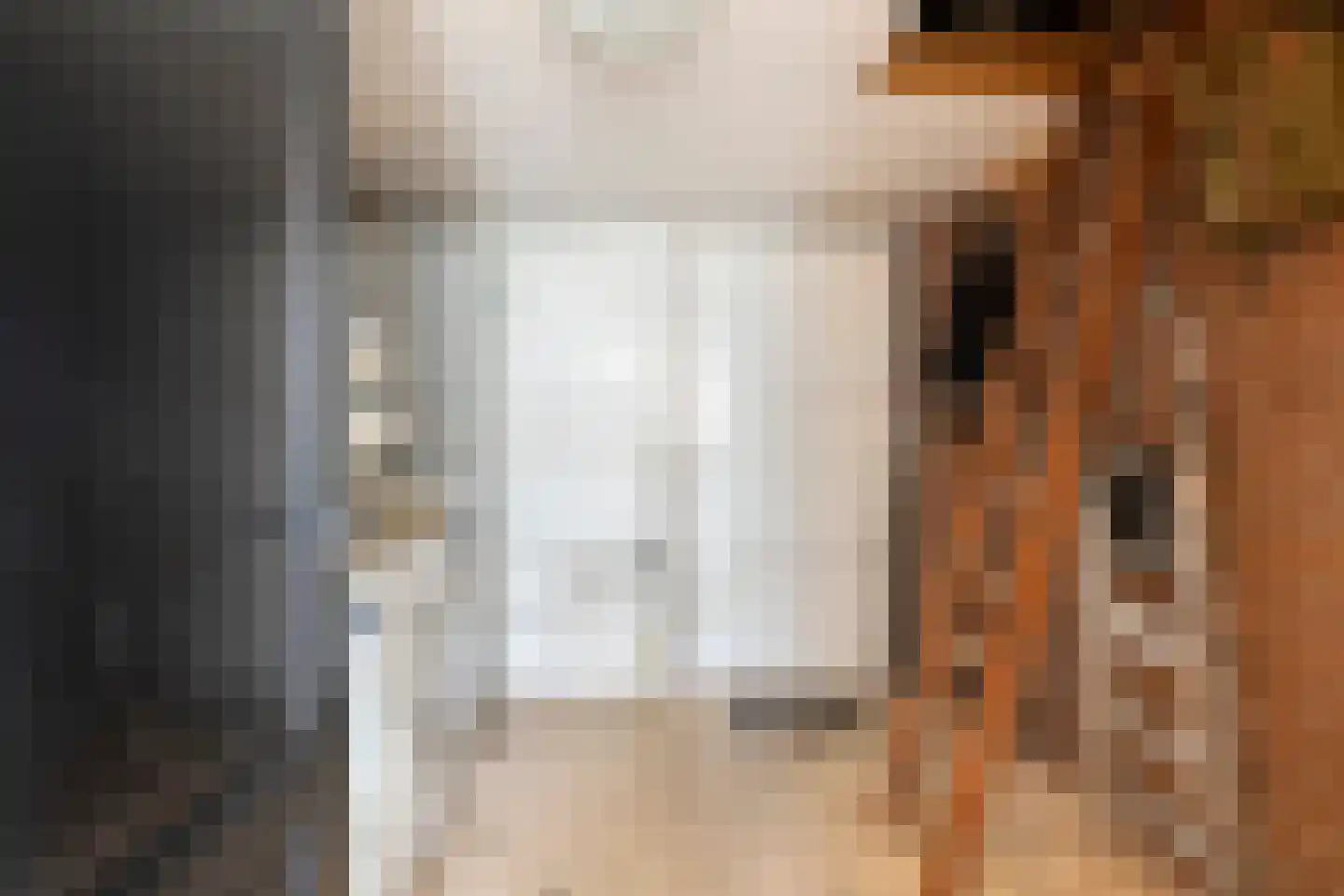 Van Bronckhorststraat 9 Horst thumbnail 23