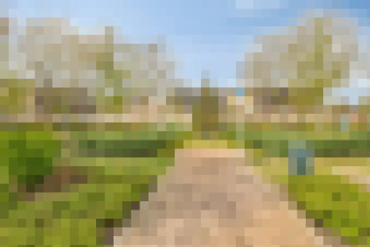 Van Bronckhorststraat 9 Horst thumbnail 24