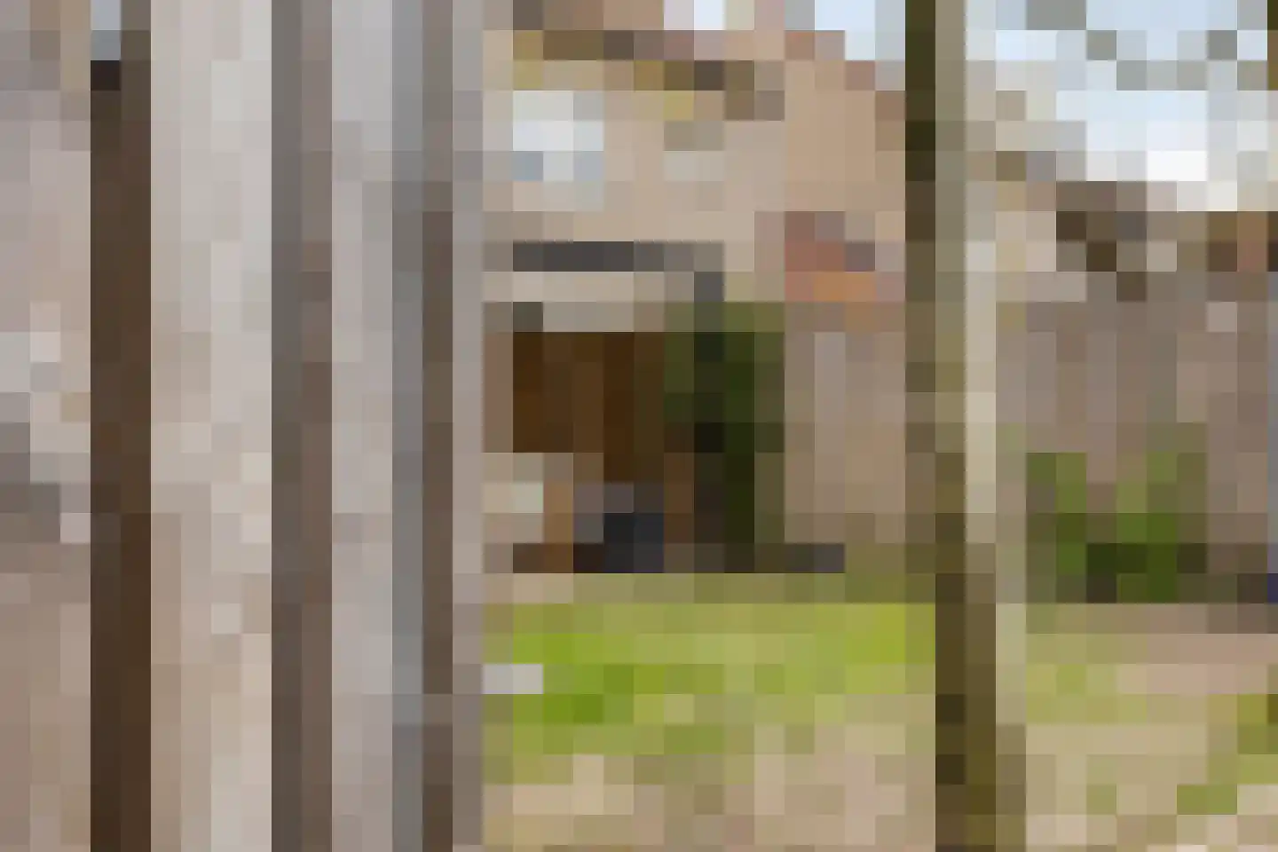 Van Bronckhorststraat 9 Horst thumbnail 27