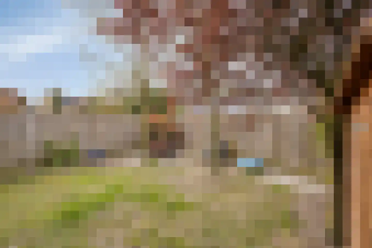 Van Bronckhorststraat 9 Horst thumbnail 31