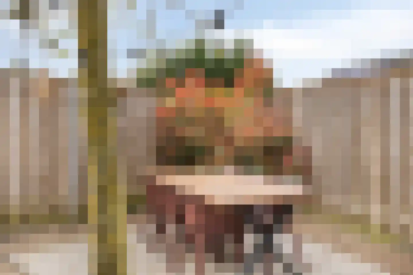 Van Bronckhorststraat 9 Horst thumbnail 33