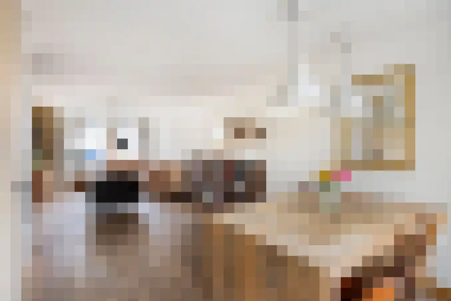 Van Bronckhorststraat 9 Horst thumbnail 8