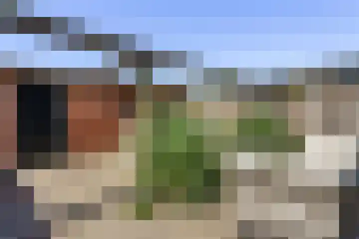 van Bronkhorststraat 39 Borculo thumbnail 12