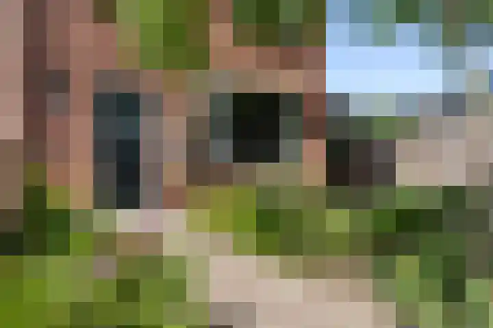 van Bronkhorststraat 39 Borculo thumbnail 8