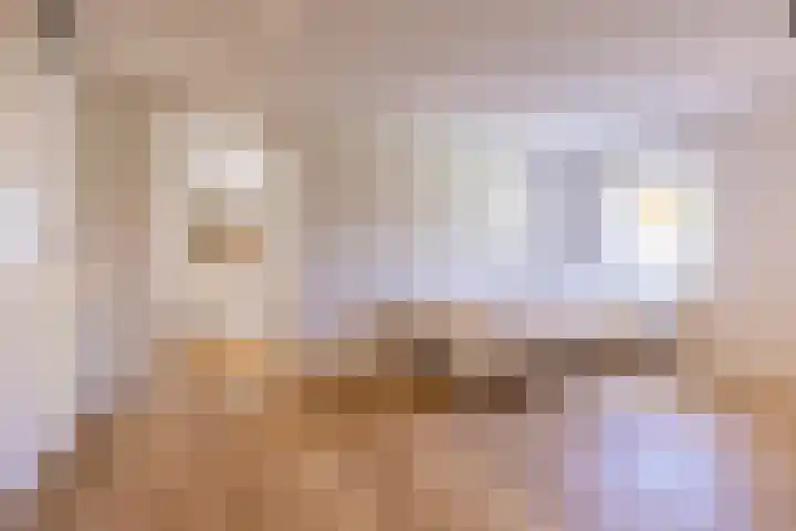 van Bronkhorststraat 4 Bemmel thumbnail 17