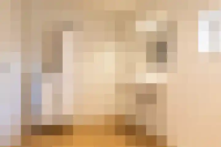 van Bronkhorststraat 4 Bemmel thumbnail 21