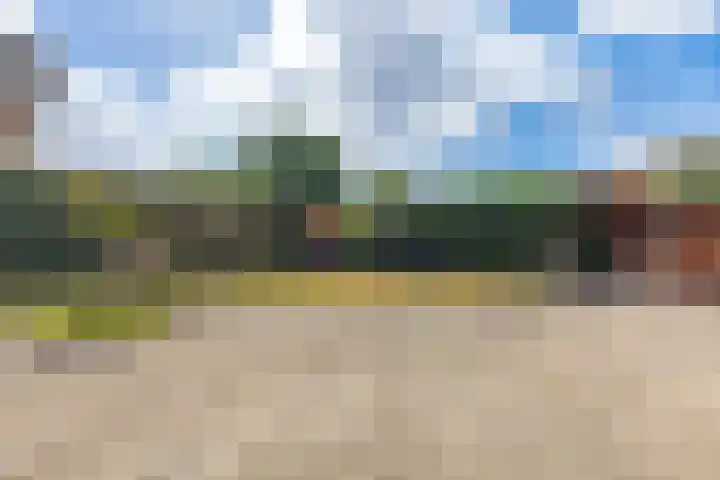 van Bronkhorststraat 4 Bemmel thumbnail 27