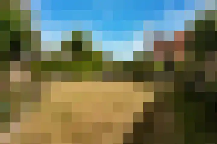 van Bronkhorststraat 4 Bemmel thumbnail 28