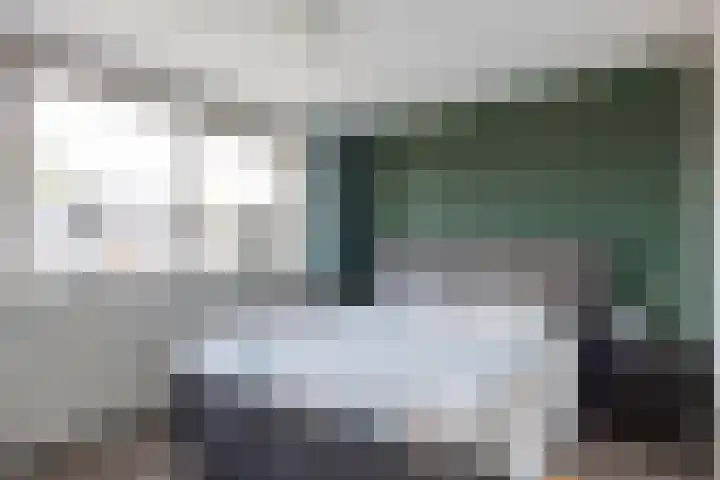 van Bronkhorststraat 4 Bemmel thumbnail 34