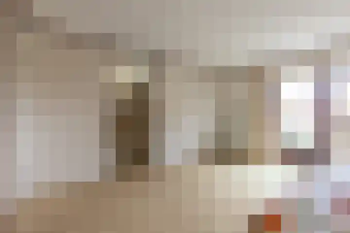van Bronkhorststraat 4 Bemmel thumbnail 34