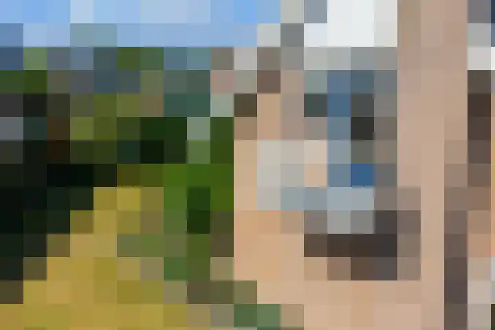 van Bronkhorststraat 4 Bemmel thumbnail 35
