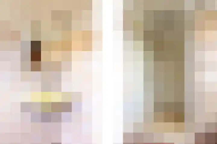 van Bronkhorststraat 4 Bemmel thumbnail 38