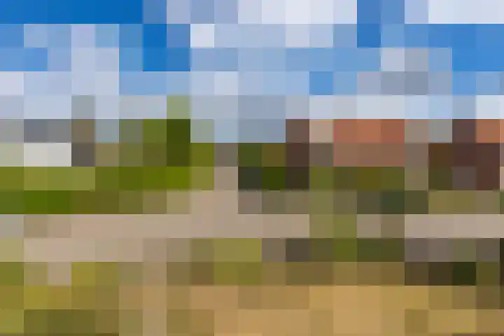 van Bronkhorststraat 4 Bemmel thumbnail 42