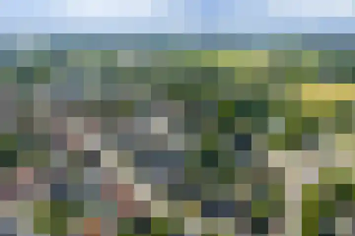 van Bronkhorststraat 4 Bemmel thumbnail 46