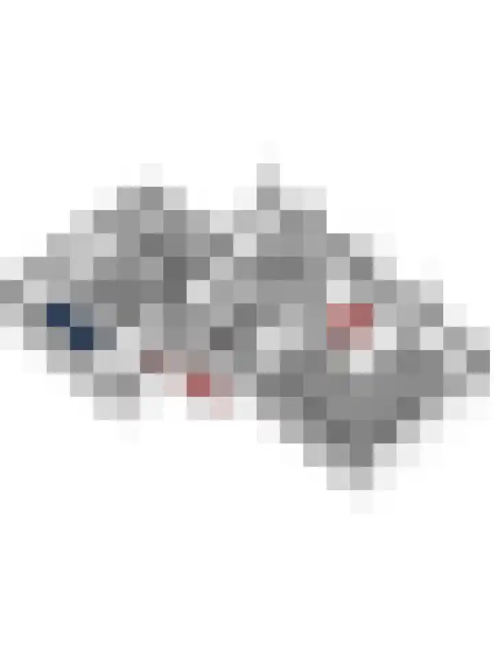 van Bronkhorststraat 4 Bemmel thumbnail 49