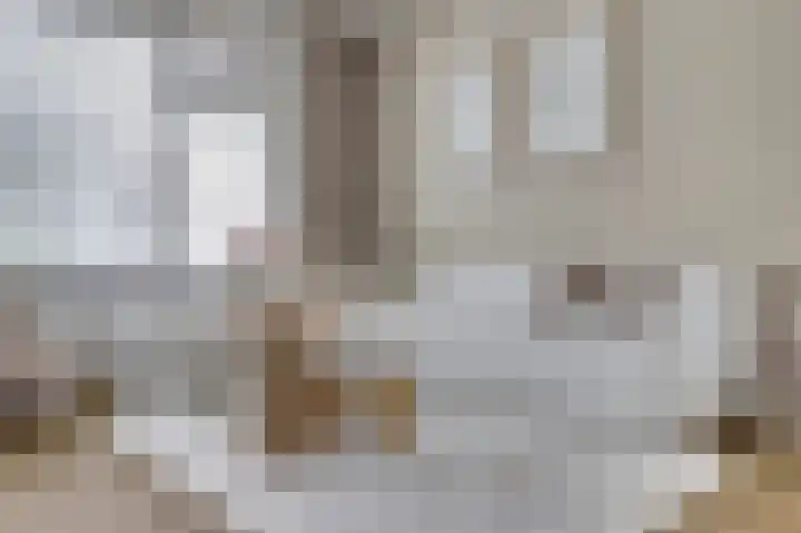 van Bronkhorststraat 7 Bemmel thumbnail 10