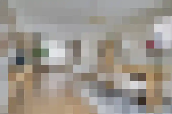 van Bronkhorststraat 7 Bemmel thumbnail 13