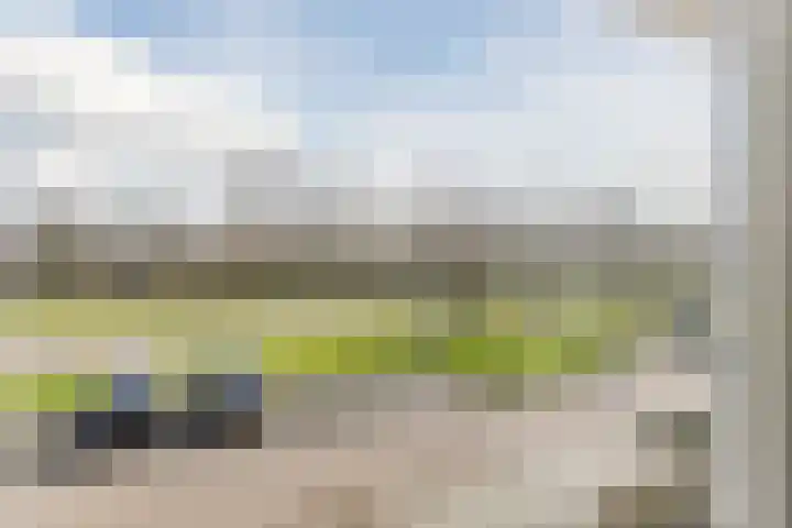 van Bronkhorststraat 7 Bemmel thumbnail 14