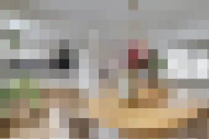 van Bronkhorststraat 7 Bemmel thumbnail 15