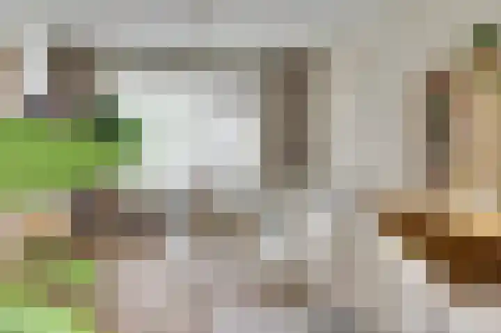 van Bronkhorststraat 7 Bemmel thumbnail 18