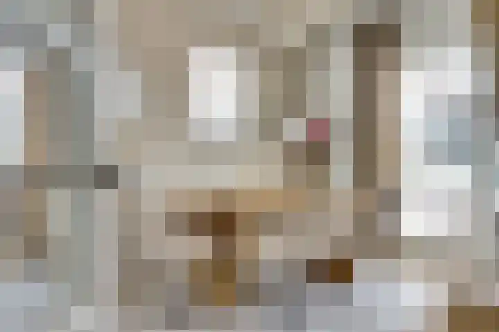 van Bronkhorststraat 7 Bemmel thumbnail 19