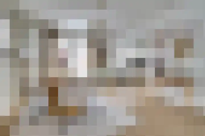 van Bronkhorststraat 7 Bemmel thumbnail 20