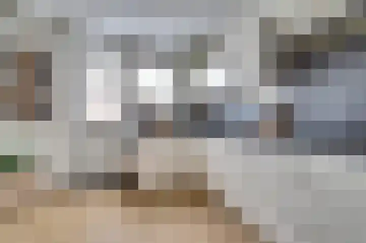 van Bronkhorststraat 7 Bemmel thumbnail 23