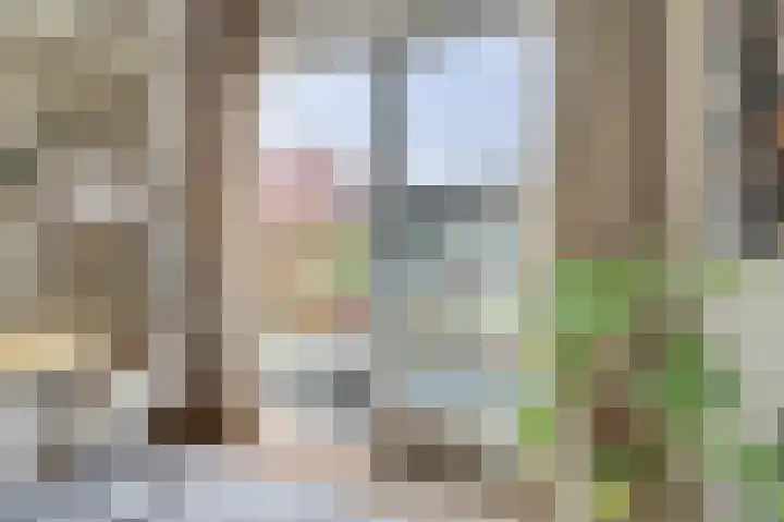 van Bronkhorststraat 7 Bemmel thumbnail 25