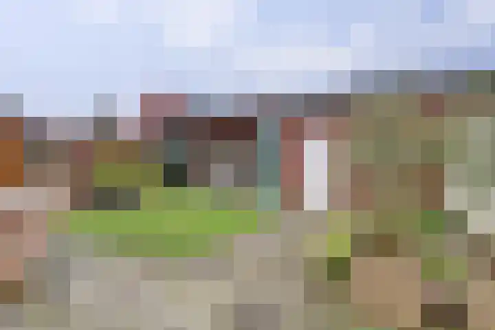 van Bronkhorststraat 7 Bemmel thumbnail 26