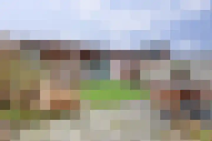 van Bronkhorststraat 7 Bemmel thumbnail 28