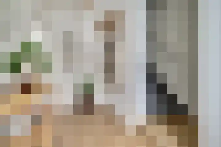 van Bronkhorststraat 7 Bemmel foto 3