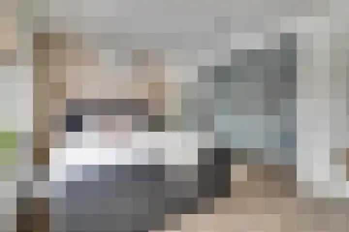 van Bronkhorststraat 7 Bemmel thumbnail 41