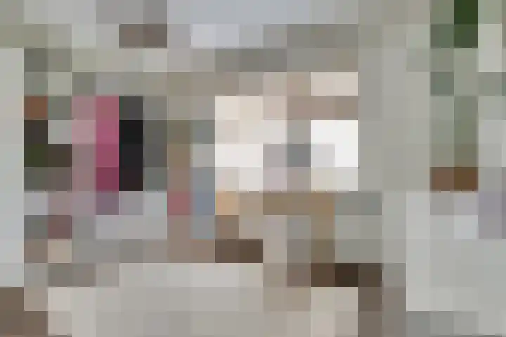 van Bronkhorststraat 7 Bemmel thumbnail 42