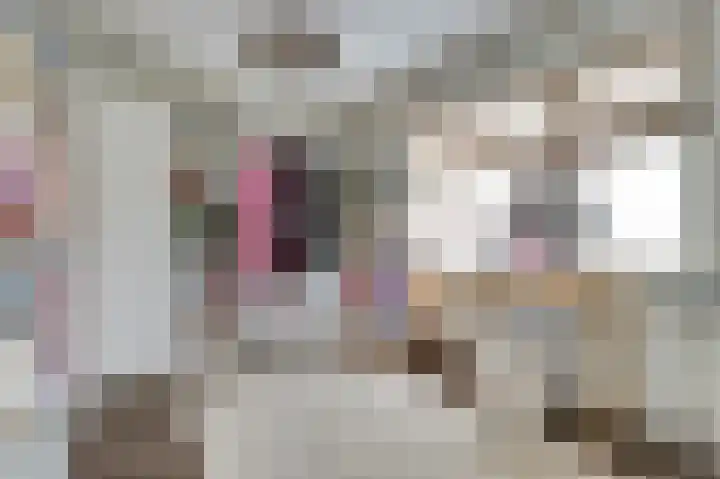 van Bronkhorststraat 7 Bemmel thumbnail 43
