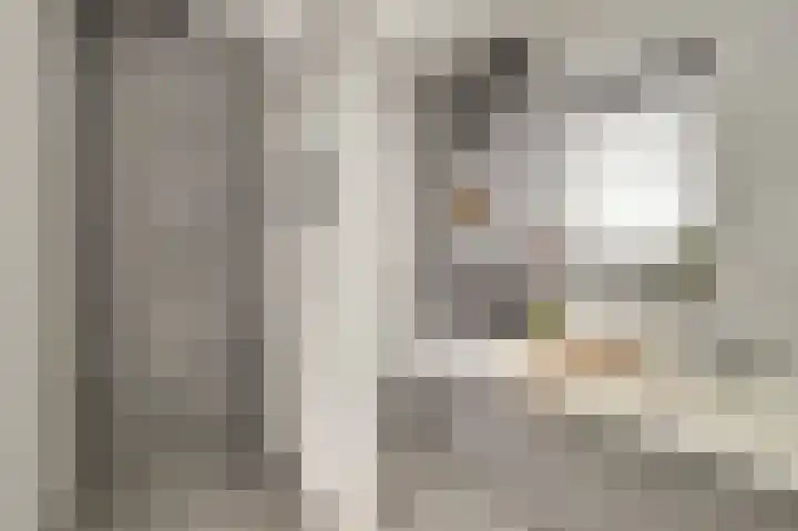 van Bronkhorststraat 7 Bemmel thumbnail 49