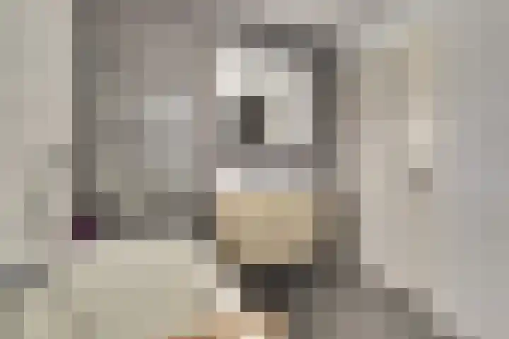 van Bronkhorststraat 7 Bemmel thumbnail 50