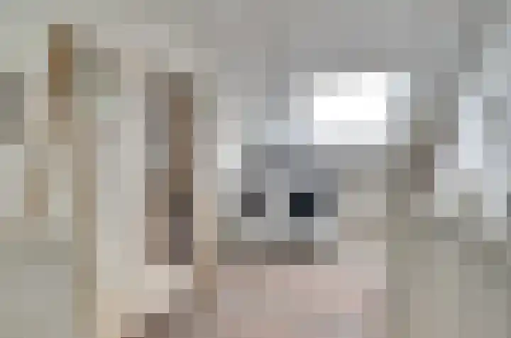 van Bronkhorststraat 7 Bemmel thumbnail 52