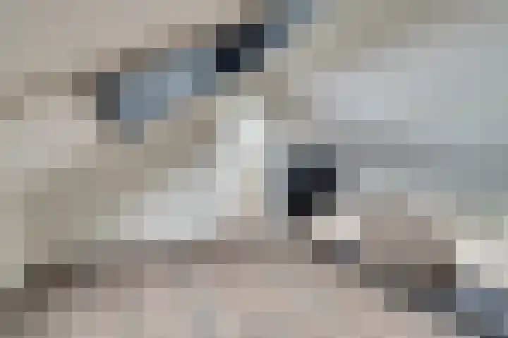 van Bronkhorststraat 7 Bemmel thumbnail 53